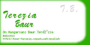 terezia baur business card